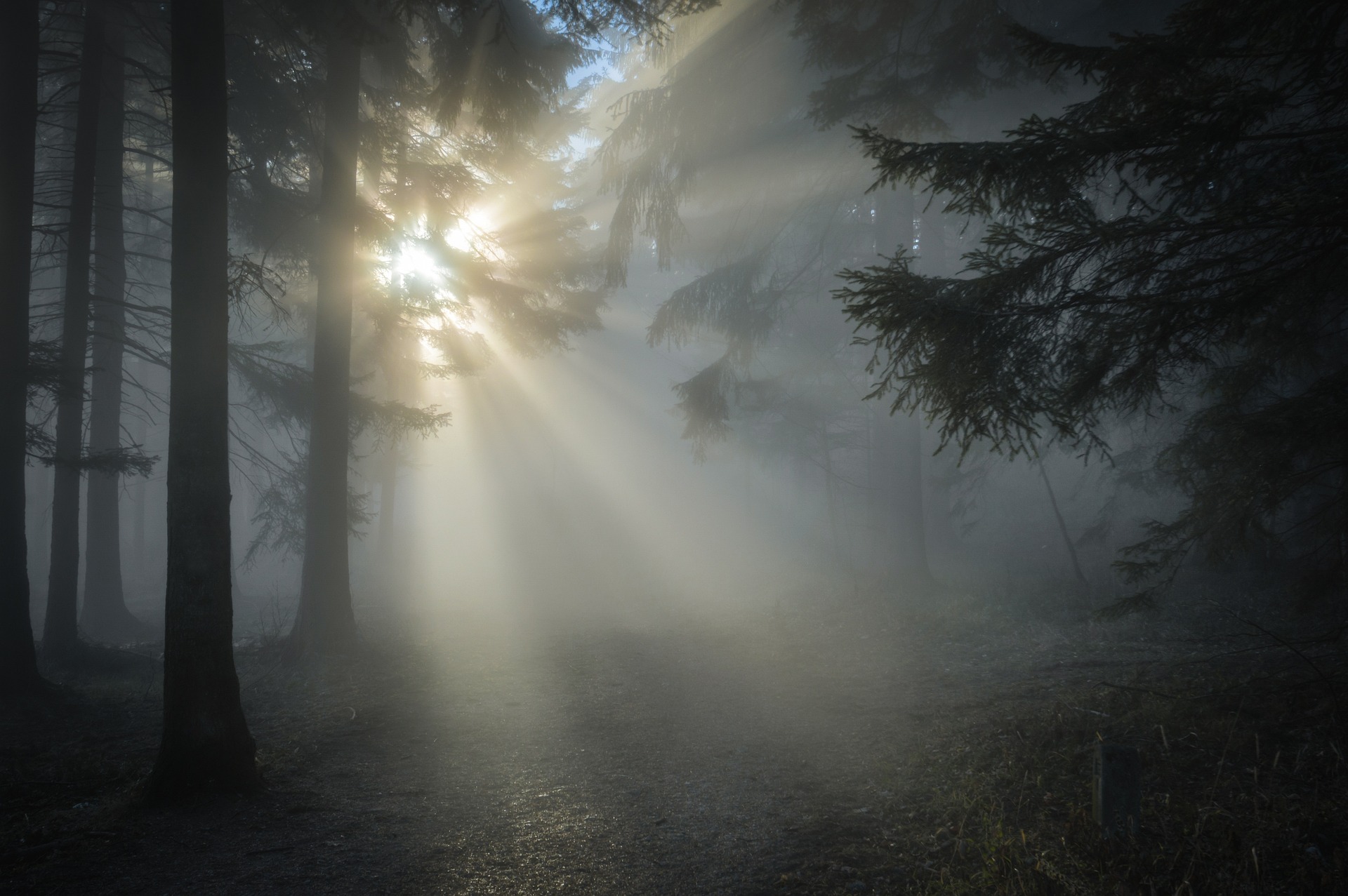 sunbeams-g6c538d0aa_1920